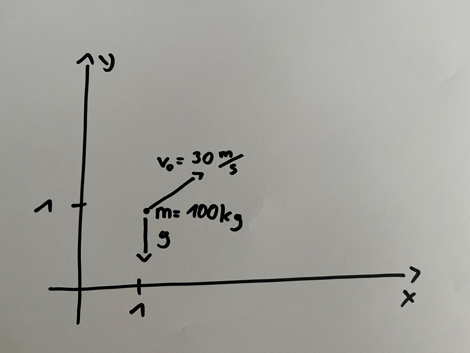 Inference Image